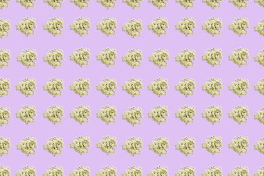 Çiçek desenli kasımpatı pembe bir arka plan üzerinde bir dizi. Üstten görünüm düz yatıyordu