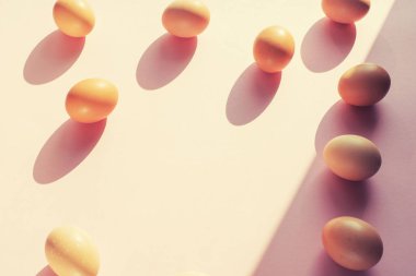 tavuk yumurtası pembe arka plan düz yatıyordu üstten görünüm