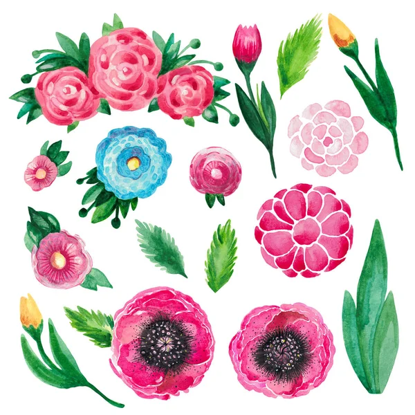 Botaniczny zestaw kwiatów akwarela ilustracji. Zestaw czerwonych kwiatów i zielonych liści na białym tle. — Zdjęcie stockowe