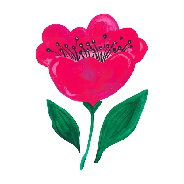 Яскраво-червона рожева квітка зелене листя на білому ізольованому фоні Рука пофарбована в акрил і гуаш Ботанічний набір — стокове фото