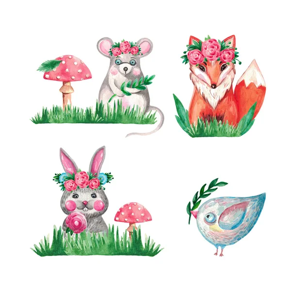 Suluboya hayvan Fox tavşan fare kuş beyaz izole arka plan botanik öğeleri çimen şube çiçekler ayarla — Stok fotoğraf