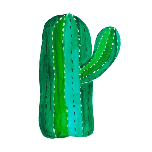 Hand painted decorative cactus in fantasy style Bright green cactus — Stock Photo, Image