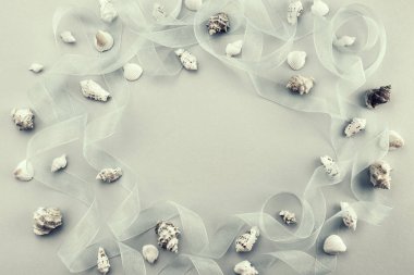 Gri arka planda farklı deniz kabukları üst görünüm düz yatıyordu