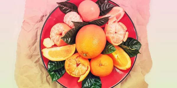 Bannière Plaque rouge d'oranges et de mandarines aux feuilles vertes sur fond clair — Photo