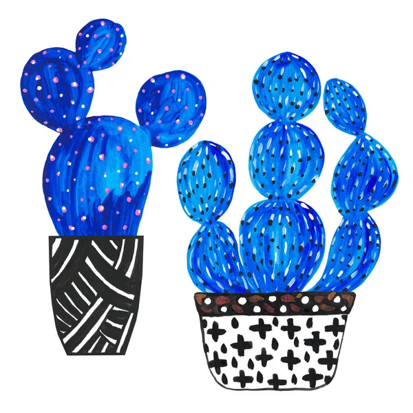 水彩插图装饰蓝色仙人掌在盆手绘花卉设计。植物元素 — 图库照片