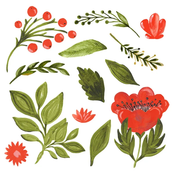 Συλλογή φθινόπωρο λουλούδι πράσινο φύλλα μούρο κλαδί σε λευκό απομονωμένο φόντο χέρι ζωγραφισμένο με ακρυλικό και γουνό βοτανικό floral σετ — Φωτογραφία Αρχείου