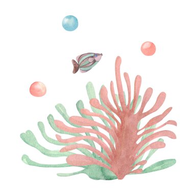 Beyaz arka planda kahverengi deniz mercanlarının elle boyanmış bileşimi. Su altı dünyasının suluboya çizimi