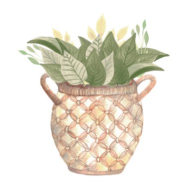 Sepette Boho tarzı ev bitkisi. Suluboya elle boyanmış rahat ev tasarımı. İskandinav tarzında iç mekan çiçeği