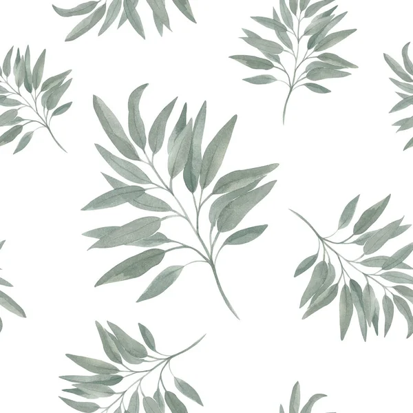 シームレスなパターン水彩イラスト白い背景に葉を持つ緑のユーカリの枝. — ストック写真