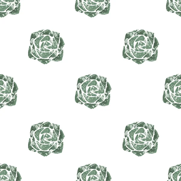 Безшовний візерунок кактуси соковиті ілюстрації ручної роботи на білому тлі Екзотична пустельна рослина. Рослина в туалеті для домашнього декору — стокове фото