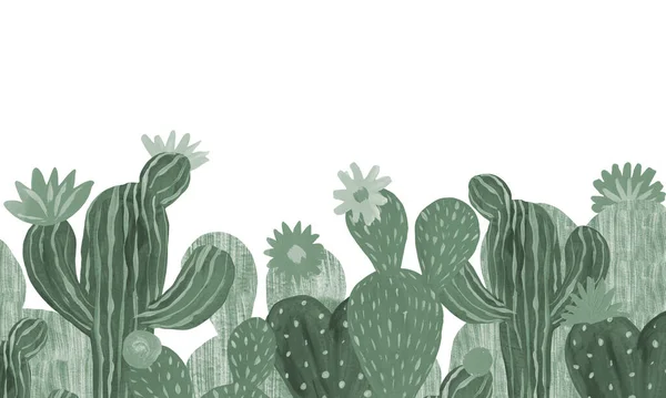 Banner Cactuses ζωγραφισμένα στο χέρι εικόνα σε λευκό φόντο Εξωτικό φυτό της ερήμου. Εσωτερικό φυτό για διακόσμηση σπιτιού — Φωτογραφία Αρχείου