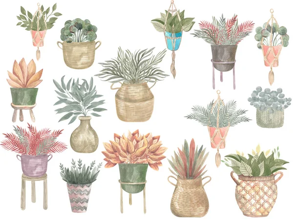 Illustration Aquarelle Une Collection Plantes Boho Pots Décor Maison Plantes — Photo