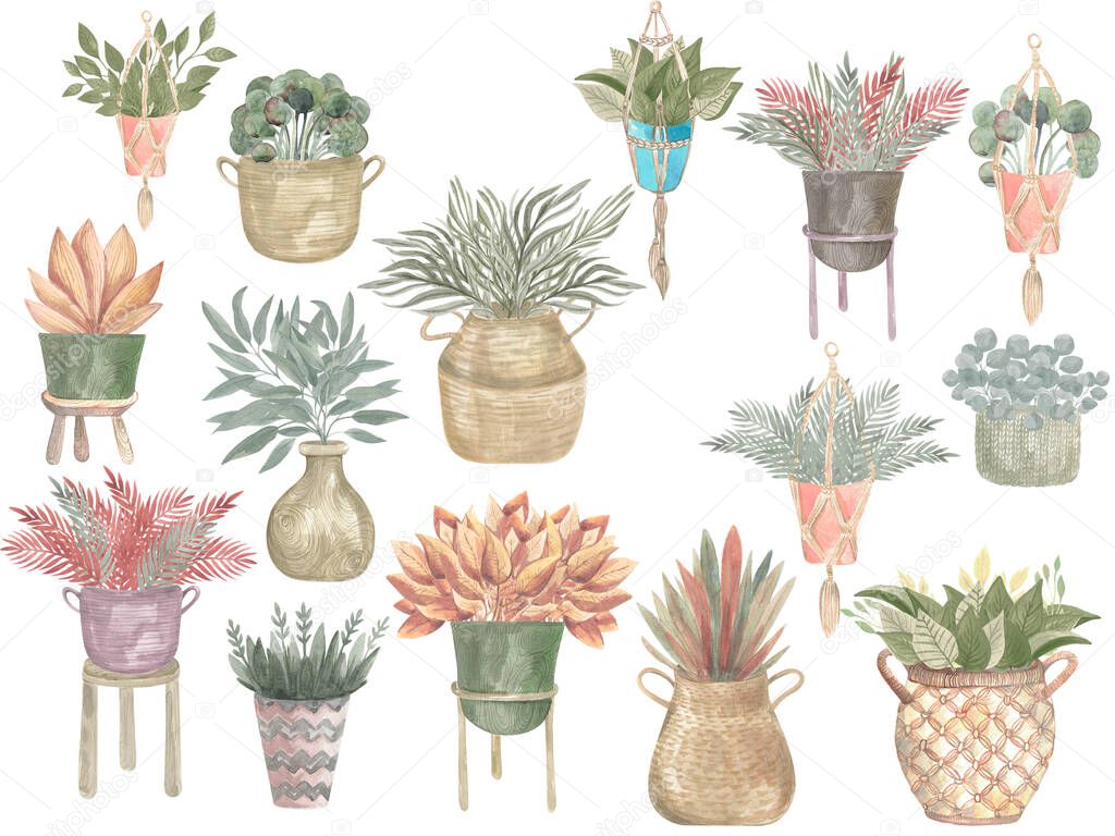 Watercolour illustration of a Boho collection of plants in pots. Home decor modern plants in baskets and hanging pots