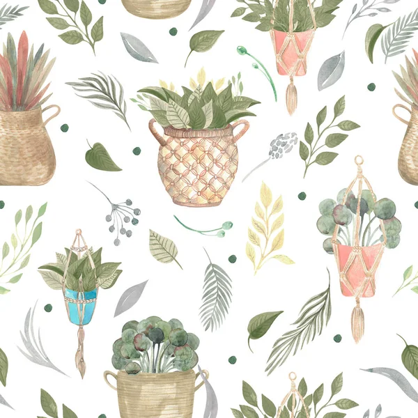 Seamless pattern of boho plants and indoor flowers in baskets and hanging pots. Watercolor illustration modern home decor