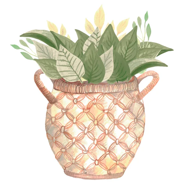 Roślina Stylu Boho Koszyku Ręcznie Malowany Przytulny Projekt Domu Kwiat — Wektor stockowy