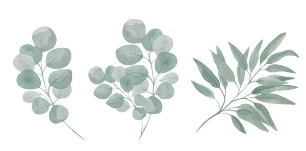 Akvarel ilustrace zelené eukalyptové větve s listovím Ručně malovaná flóra kompozice pro dekoraci podzimních svatebních pozvánek, pohlednic, narozeninových oslav, výzdoby, nástěnného umění ve stylu Boho — Stock fotografie