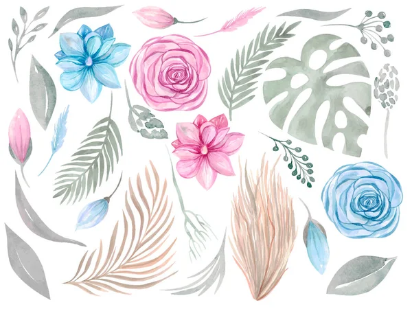 Clipart elemento floral. Coleção de casamento Boho. Flor rosa magnolia conjunto de vegetação —  Vetores de Stock