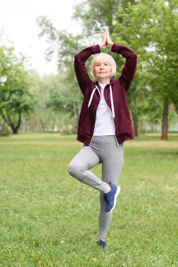 kadın kıdemli pratik yoga ağacında poz Park yeşil çim üzerinde