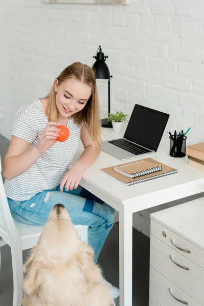 Teen Student Girl Playing Her Dog While Sitting Workplace — Stock Photo, Image