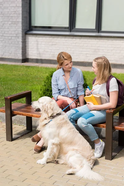 Happy Mother Teen Daughter Sitting Bench Dog — Stock Photo, Image