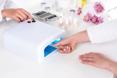 cropped shot of woman holding hand in uv lamp while manicurist pushing button at table with nail polishes, flowers and towels in beauty salon clipart