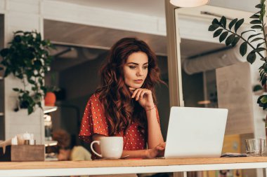kafede dizüstü bilgisayar üzerinde çalışan genç blogger portresi