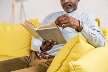 üst düzey ABD'li adamın evde otururken kitap okuma kırpılmış atış