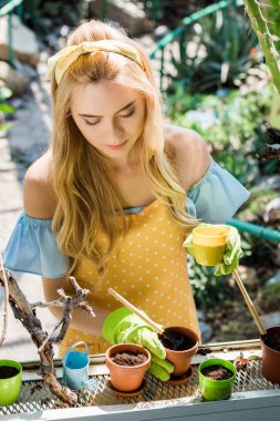Genç kadının saksı sera içinde çalışma yüksek açılı görünüş