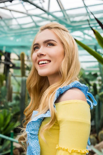 serada ararken önlük mutlu sarışın genç kadın