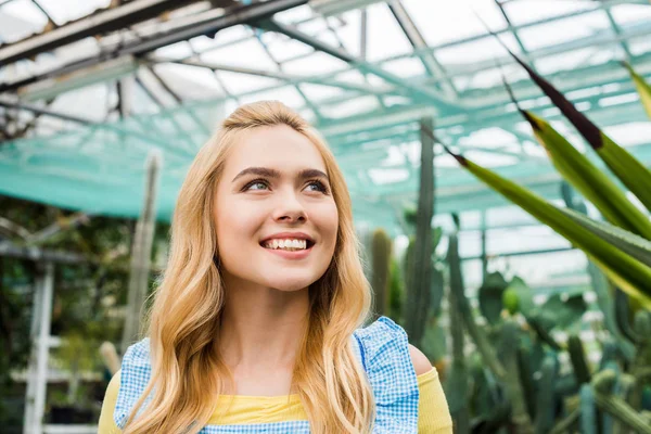 温室で見上げる美しい笑顔若いブロンドの女性 — ストック写真