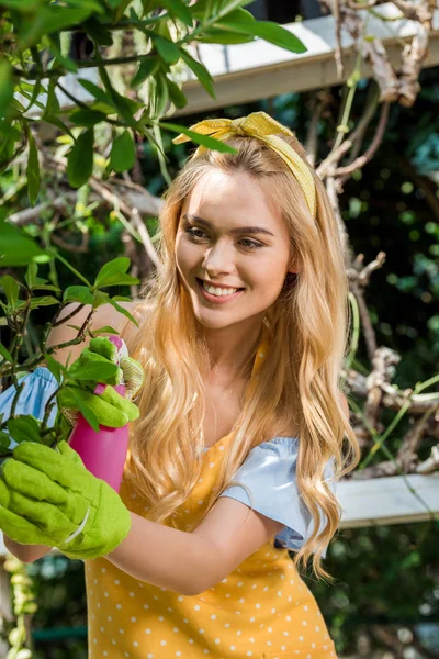 püskürtücü ve sulama yeşil bitki tutan güzel gülümseyen genç kadın 