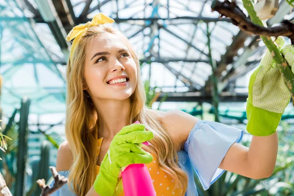 Bela Sorridente Jovem Mulher Regando Planta Estufa — Fotografia de Stock Grátis