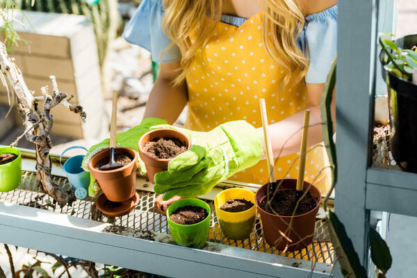 cropped shot of young woman holding flower pots in greenhouse