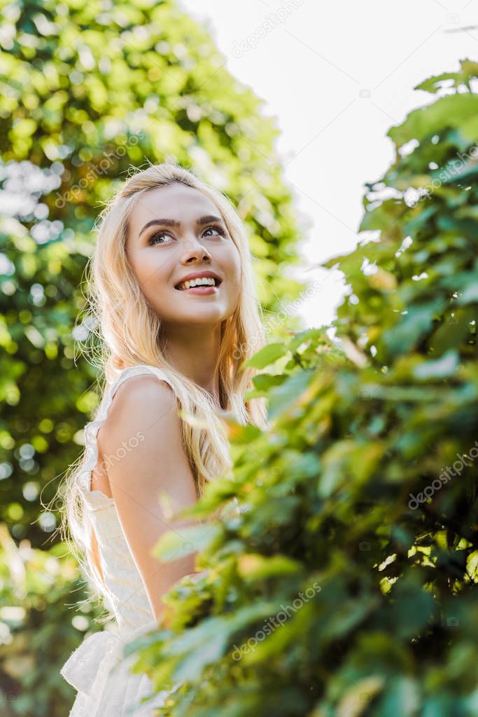 beautiful happy blonde woman smiling and looking up between green plants