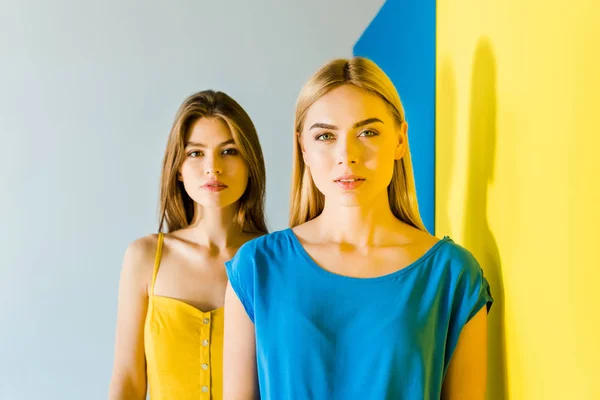 Beautiful Brunette Blonde Girls Posing Blue Yellow Background — Stock Photo, Image