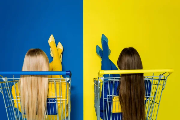 青と黄色の背景に分離されたショッピングカートに座っているエレガントなスタイリッシュな女性の背面図 — ストック写真