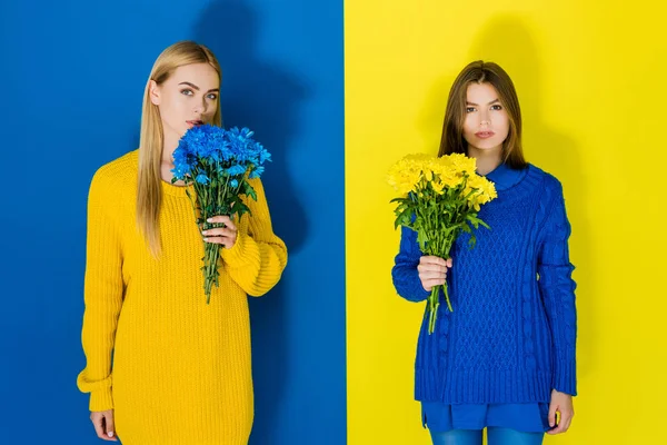 Krizantem Buketleri Mavi Sarı Zemin Üzerine Tutarak Zarif Şık Kadınlar — Ücretsiz Stok Fotoğraf
