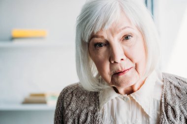 portrait of grey hair lady in knitted jacket looking at camera at home clipart