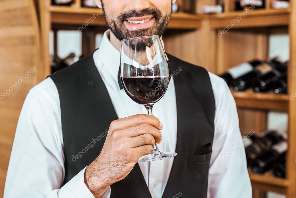 cropped shot of smiling sommelier sniffing red wine from glass at wine store