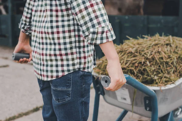 Cropped Shot Child Checkered Shirt Pushing Wheelbarrow Farm — Stock Photo, Image