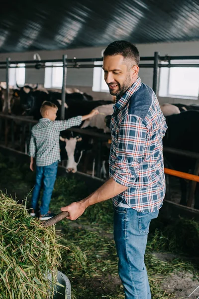 Feliz Padre Hijo Alimentando Vacas Establo —  Fotos de Stock