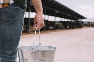Erkek çiftçi cowshed kova tutarak kısmi görmek 