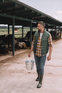 handsome male farmer holding bucket and looking at cows in cowshed clipart