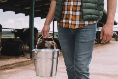 cropped shot of male farmer holding bucket at cowshed  clipart