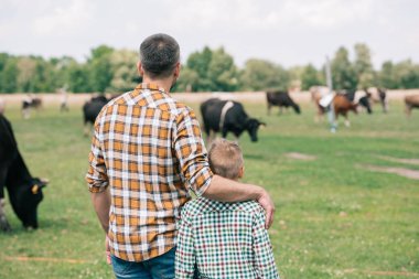 back view of father and son standing together and looking at cows grazing on farm clipart