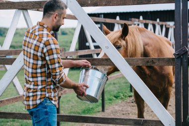 middle aged farmer holding bucket and feeding horse in stable clipart