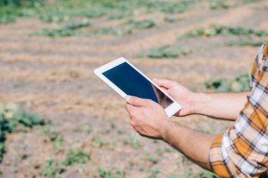 Kırpılan alanı üzerinde dururken boş ekran ile dijital tablet kullanarak çiftçi kadeh 