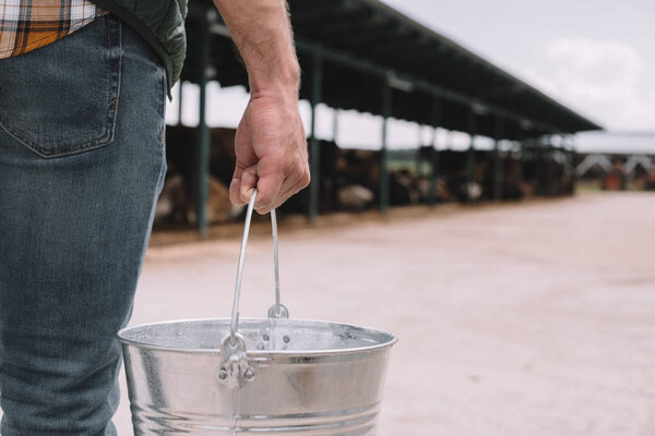 close-up partial view of male farmer holding bucket at cowshed 