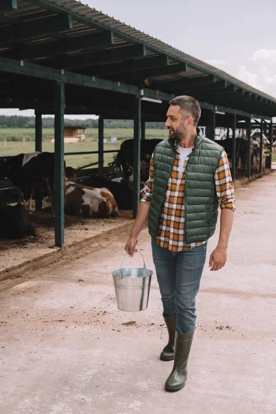 Knappe Mannelijke Boer Emmer Houden Kijken Naar Koeien Stal — Stockfoto