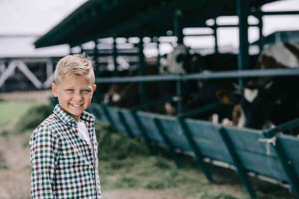 happy boy in checkered shirt smiling at camera while standing at ranch with cows  